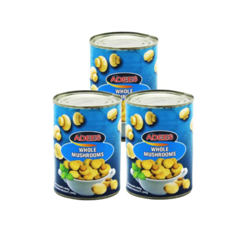 اديس فطر شرائح 300 غم عدد 3